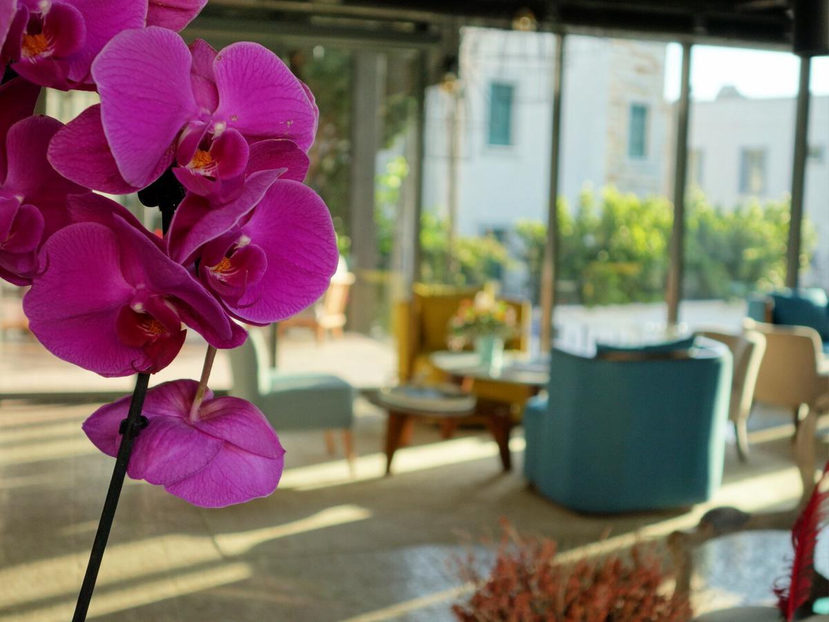 Eskiceshme Marina 2* Bodrum